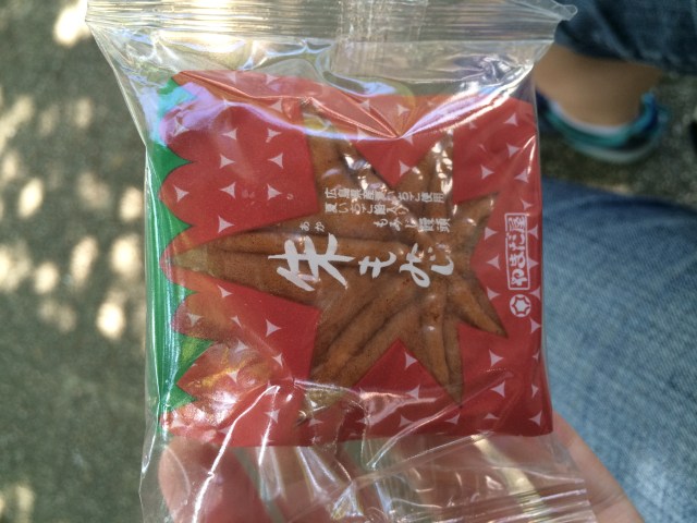 strawberry flavored cookie