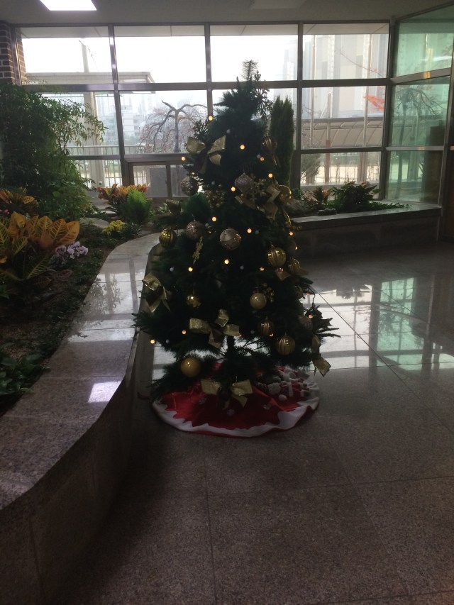 the Christmas tree at school