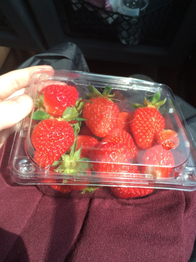 Free box of freshly picked strawberries
