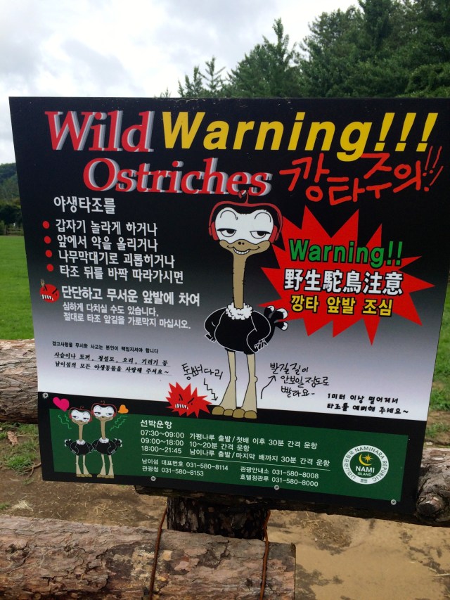 I didn't see any wild ostriches, but apparently they were out there somewhere
